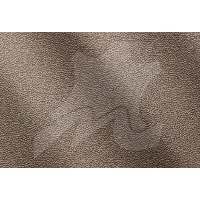 Aligo Group фото